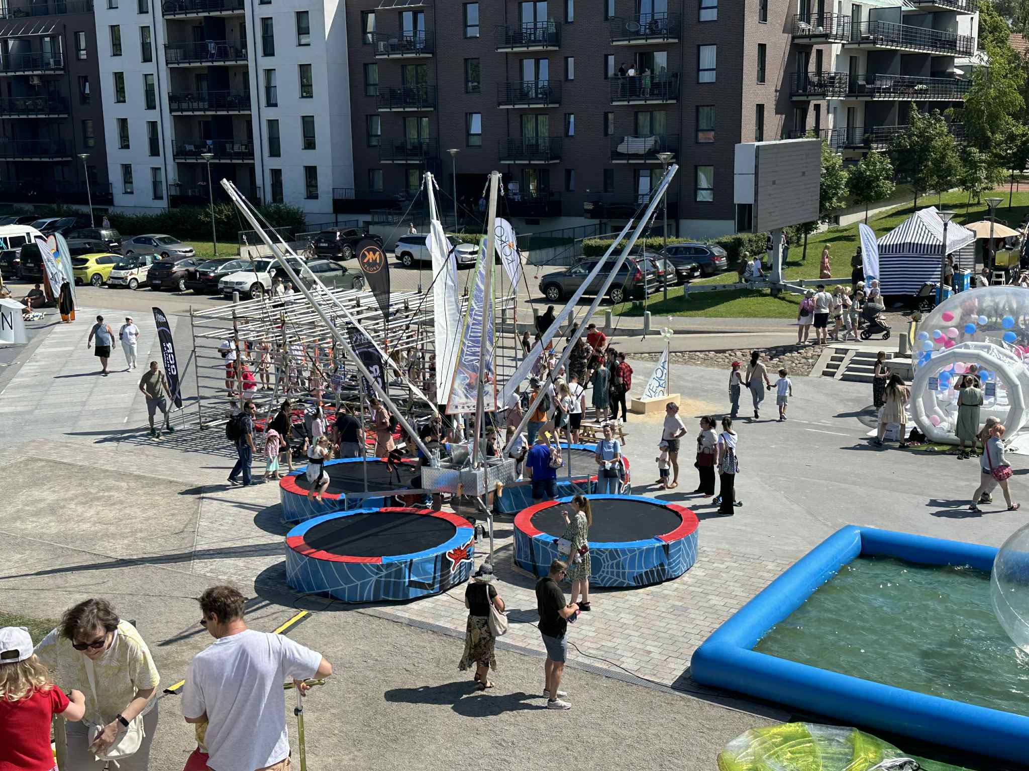 Mažoji šokdynė - nuotrauka 3